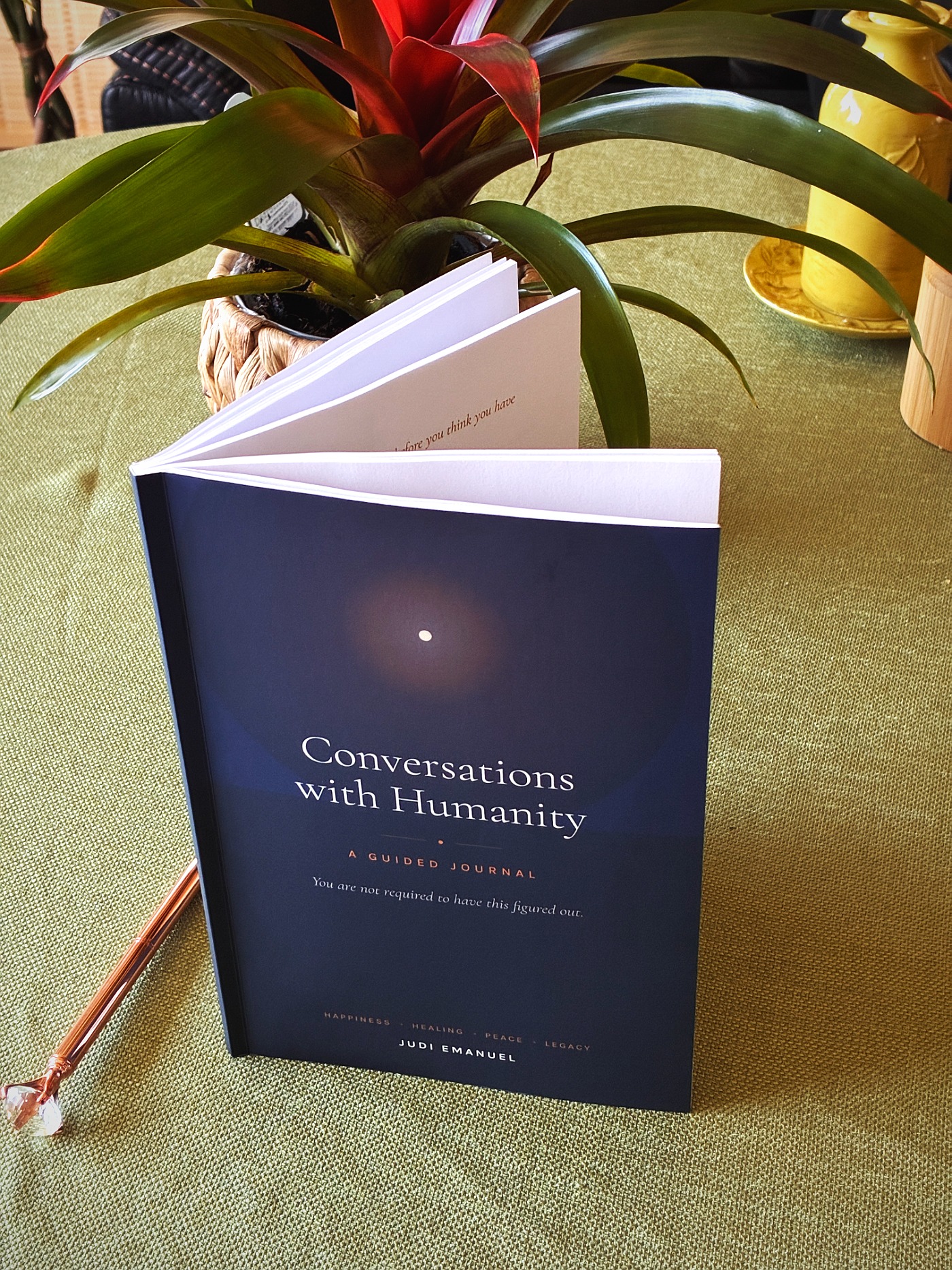 The paperback standing with its pages fanned open